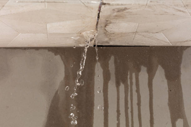 Professional Burst Pipe Cleanup technician working in Grayling, MI